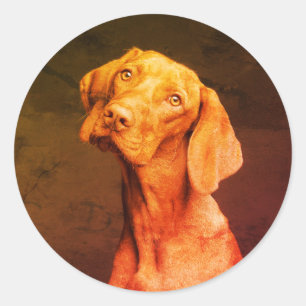 Vizsla Ronde Sticker
