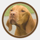 Vizsla Ronde Sticker (Voorkant)