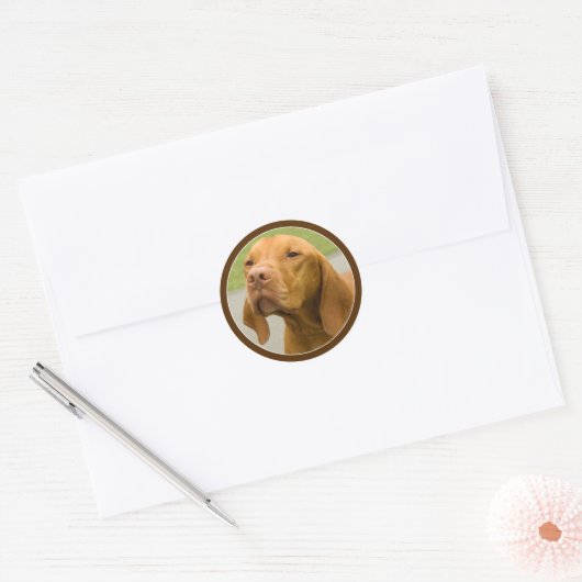 Vizsla Ronde Sticker (Envelop)