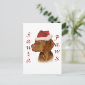 Vizsla Santa Paws Feestdagenkaart (Staand voorkant)