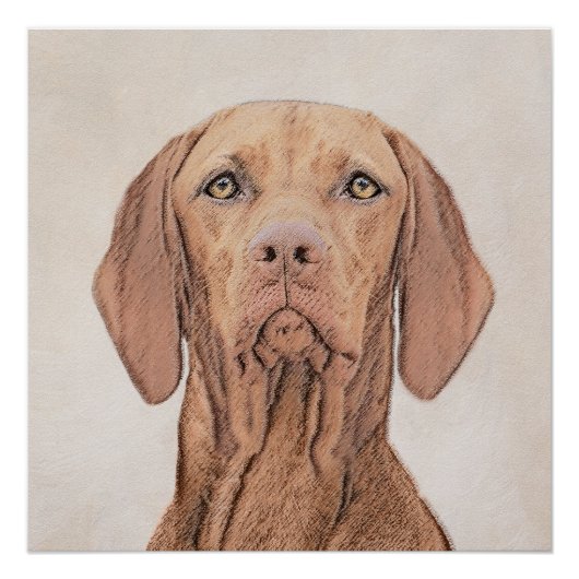 Vizsla-schildering - Cute Original Dog Art Perfect Poster (Voorkant)