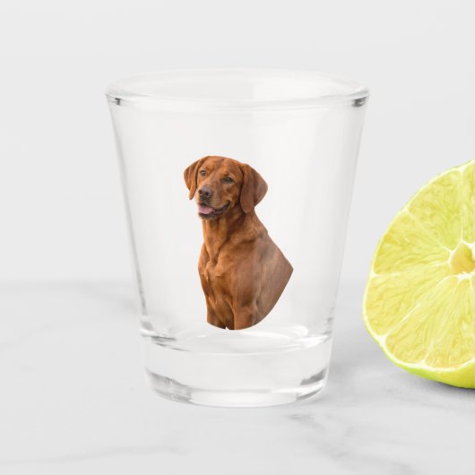 Vizsla Shotglas Shot Glas (Voorkant)