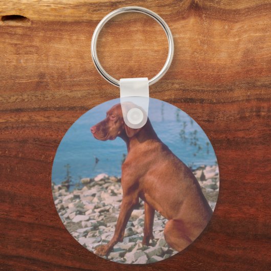 Vizsla Sleutelhanger (Voorkant)