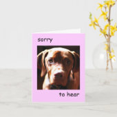 Vizsla - sorry dat je pawly bent (roze) kaart (Gele Bloem)