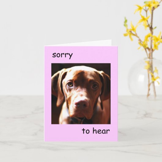 Vizsla - sorry dat je pawly bent (roze) kaart (Gele Bloem)