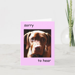 Vizsla - sorry dat je pawly bent (roze) kaart