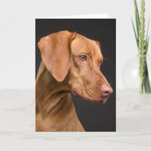 Vizsla Sporting Dog Bedankkaart