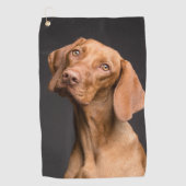 Vizsla Sporting Dog Golfhanddoek (Voorkant)