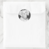 Vizsla Stickers (Tas)