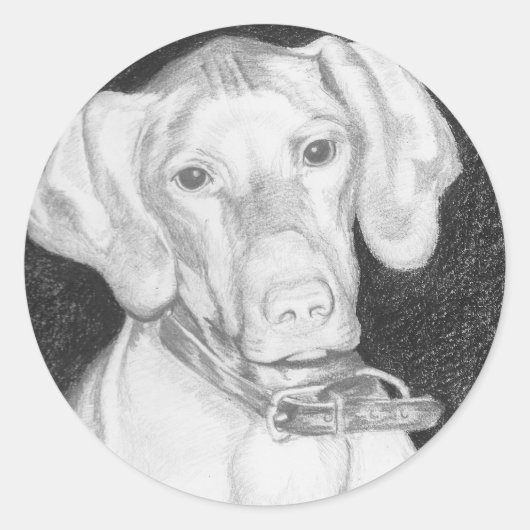 Vizsla Stickers (Voorkant)