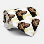 Vizsla Stropdas (Opgerold)