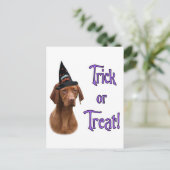 Vizsla Trick Briefkaart (Staand voorkant)