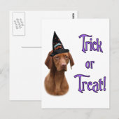 Vizsla Trick Briefkaart (Voorkant / Achterkant)