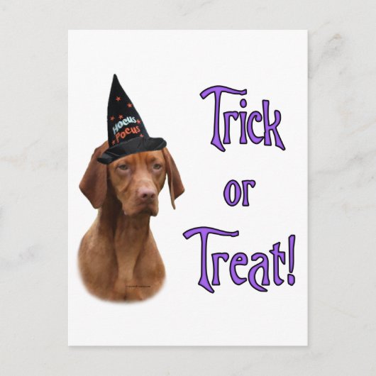 Vizsla Trick Briefkaart (Voorkant)