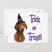 Vizsla Trick Briefkaart (Voorkant / Achterkant)