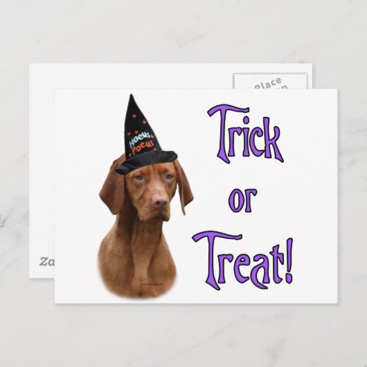 Vizsla Trick Briefkaart (Voorkant / Achterkant)