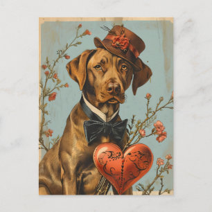Vizsla Valentijnsdag Briefkaart