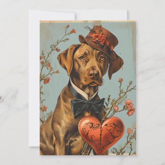 Vizsla  Valentijnsdag Feestdagenkaart (Voorkant)