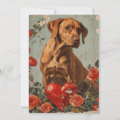 Vizsla  Valentijnsdag Feestdagenkaart (Voorkant)