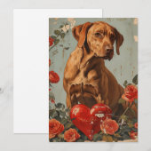 Vizsla Valentijnsdag Feestdagenkaart (Voorkant / Achterkant)