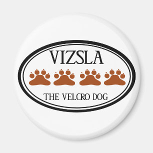 Vizsla Velcro Dog magnet