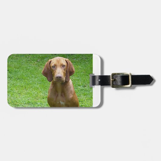 vizsla , vergadering .png bagagelabel (Voorkant horizontaal)