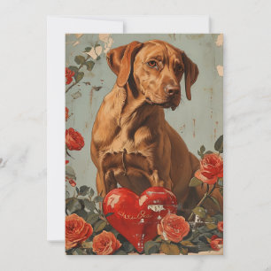 Vizsla Vintage Valentijnsdag  Feestdagenkaart