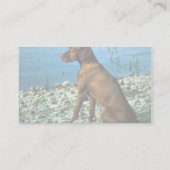 Vizsla Visitekaartje (Achterkant)