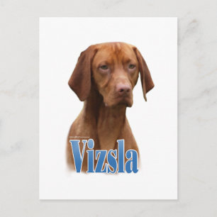 Vizsla; Vizsla-Hondenras; Vizsla-hond; Vizsla-ras Briefkaart