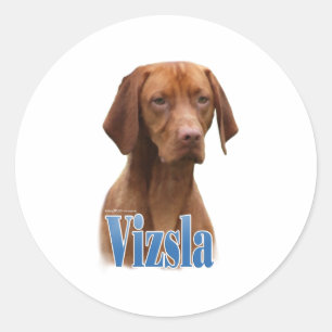 Vizsla; Vizsla-Hondenras; Vizsla-hond; Vizsla-ras Ronde Sticker