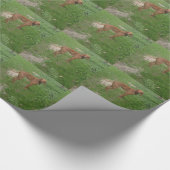 vizsla vol cadeaupapier (Hoek)