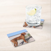 vizsla vol kartonnen onderzetters (Insitu)