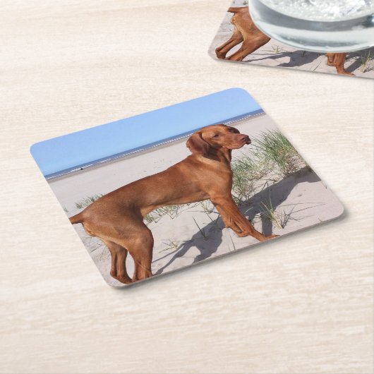 vizsla vol kartonnen onderzetters (Schuin)