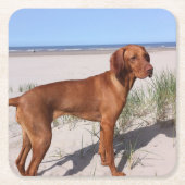 vizsla vol kartonnen onderzetters (Voorkant)