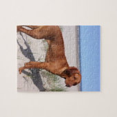 vizsla vol legpuzzel (Horizontaal)