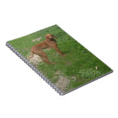 vizsla vol notitieboek (Rechterzijde)