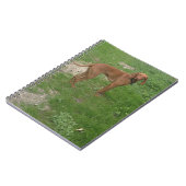 vizsla vol notitieboek (Linkerzijde)