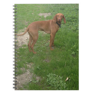 vizsla vol notitieboek