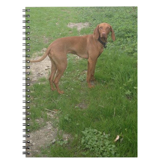 vizsla vol notitieboek (Voorkant)