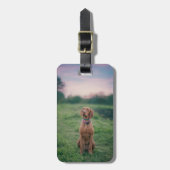 Vizsla zittend bagagelabel (Voorkant verticaal)