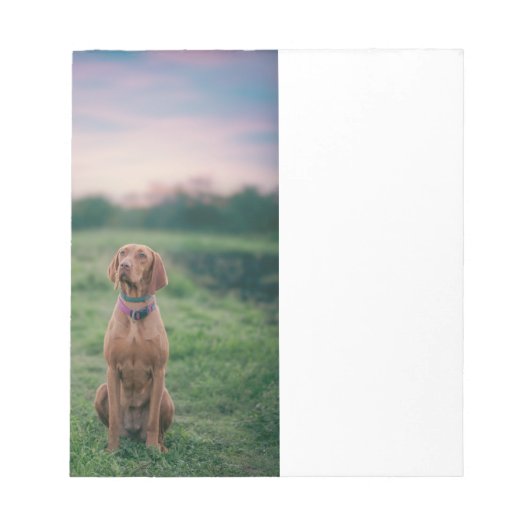 vizsla zittend notitieblok (Voorkant)