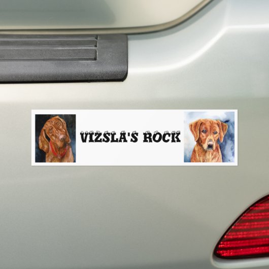 VIZSLA'S ROCK, Bumpersticker (Op auto)