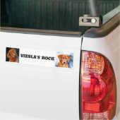 VIZSLA'S ROCK, Bumpersticker (Op Truck)