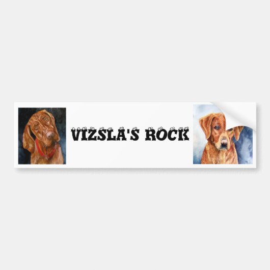 VIZSLA'S ROCK, Bumpersticker (Voorkant)