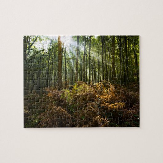 VK, Engeland. Zonnestralen die door Legpuzzel (Horizontaal)