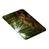 VK, Engeland. Zonnestralen die door Magneet (Rechterzijde)