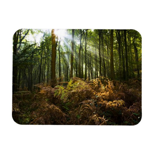 VK, Engeland. Zonnestralen die door Magneet (Horizontaal)