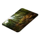 VK, Engeland. Zonnestralen die door Magneet (Linkerzijde)