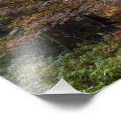 VK. Forest of Dean. Zonnestraal die een Foto Afdruk (Hoek)