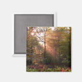 VK. Forest of Dean. Zonnestraal die een Magneet (Voorkant / Achterkant)